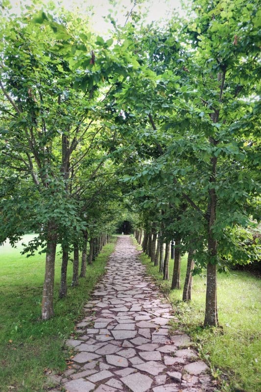 ogród11